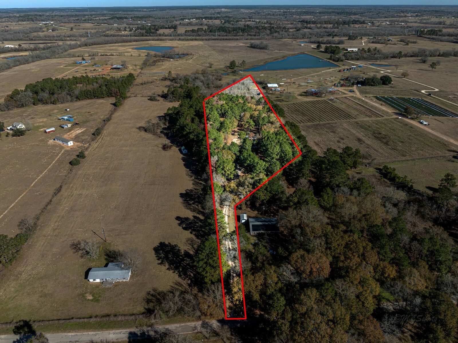Property Photo:  11201 County Road 203  TX 77363 
