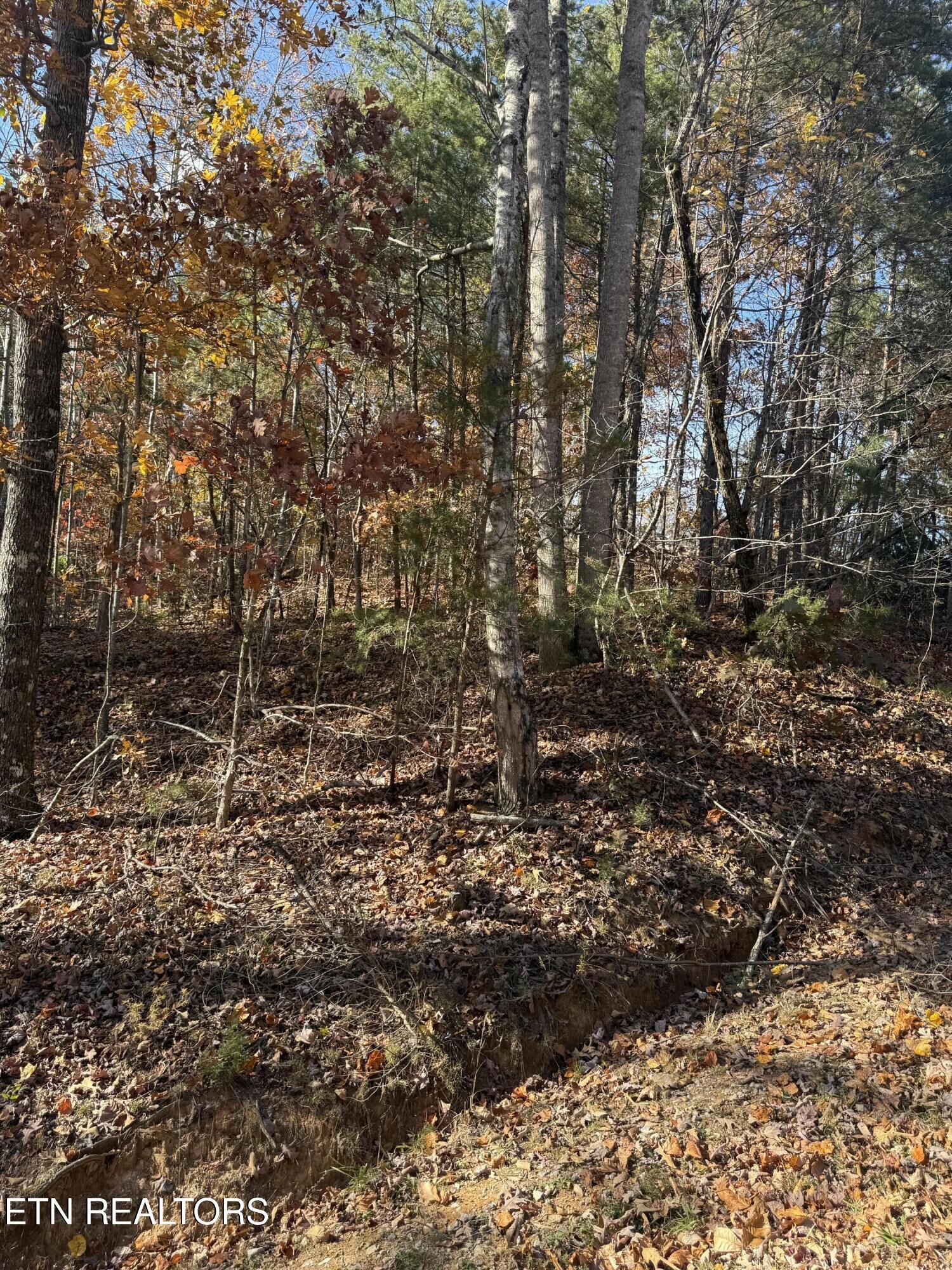 Property Photo:  Scenic Woods Way  TN 37876 