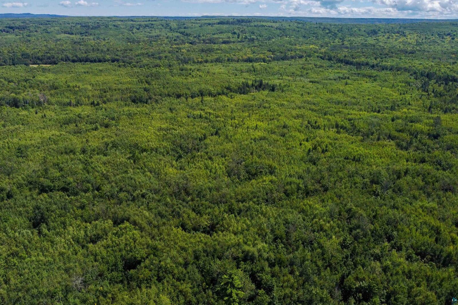 Property Photo:  40 Acres Near State Hwy 13  WI 54844 