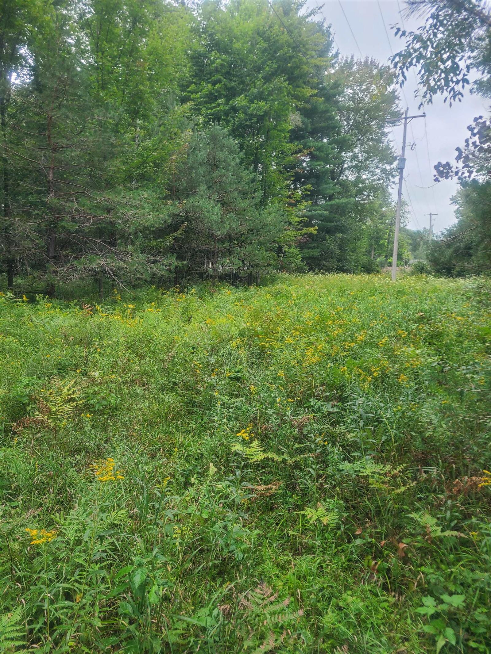 Property Photo: 00 M-55 MI 48770