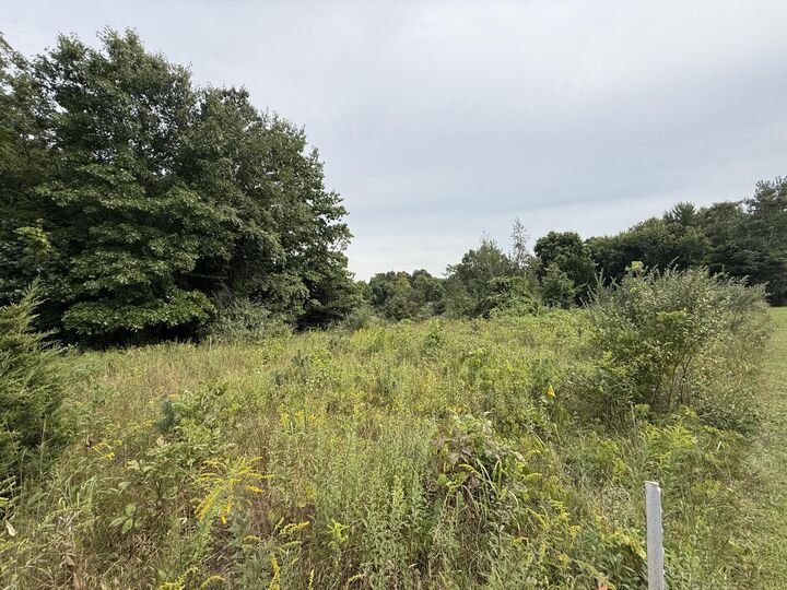 Property Photo:  V/L Sawyer Road  MI 49125 