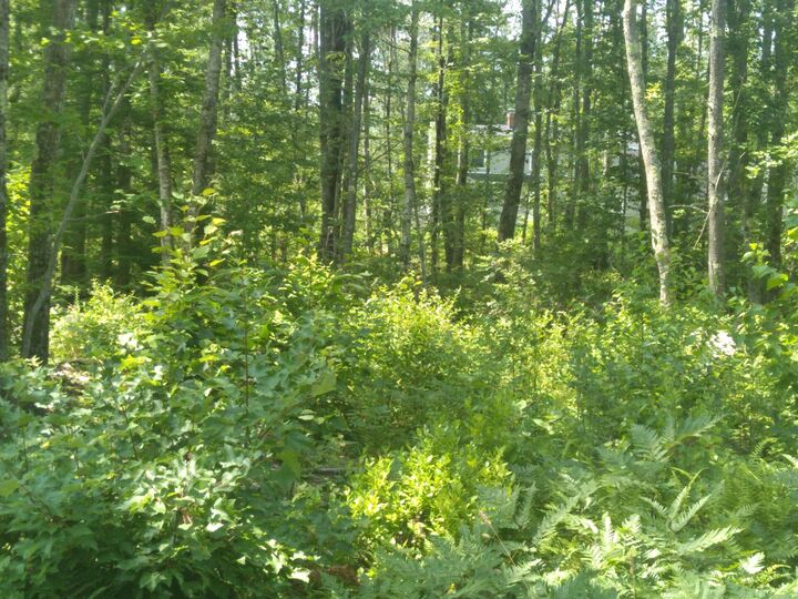 Property Photo: Lot #1 Harry Howes Road ME 04073