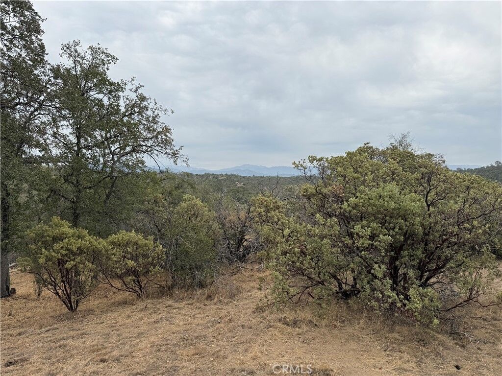 Property Photo:  0 39.77 Ac Flying O Ranch Rd.  CA 93645 