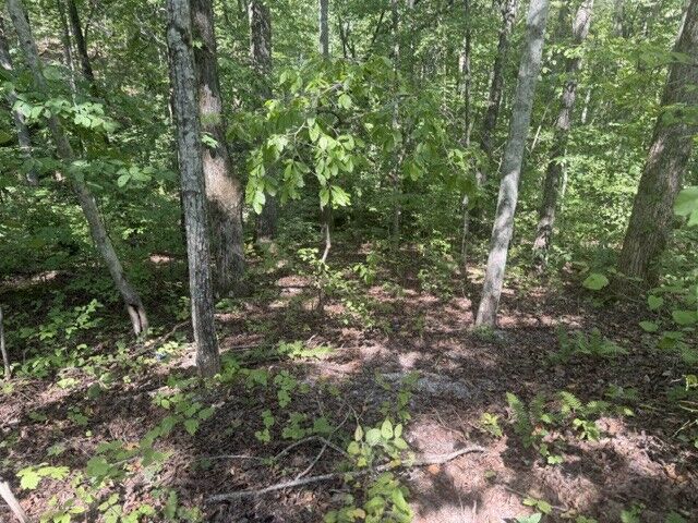 Property Photo:  12 Skyline Dr  TN 37166 