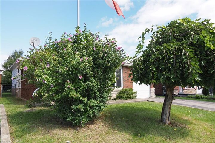 Property Photo:  767 Lang's Drive  ON N3H 4Y4 