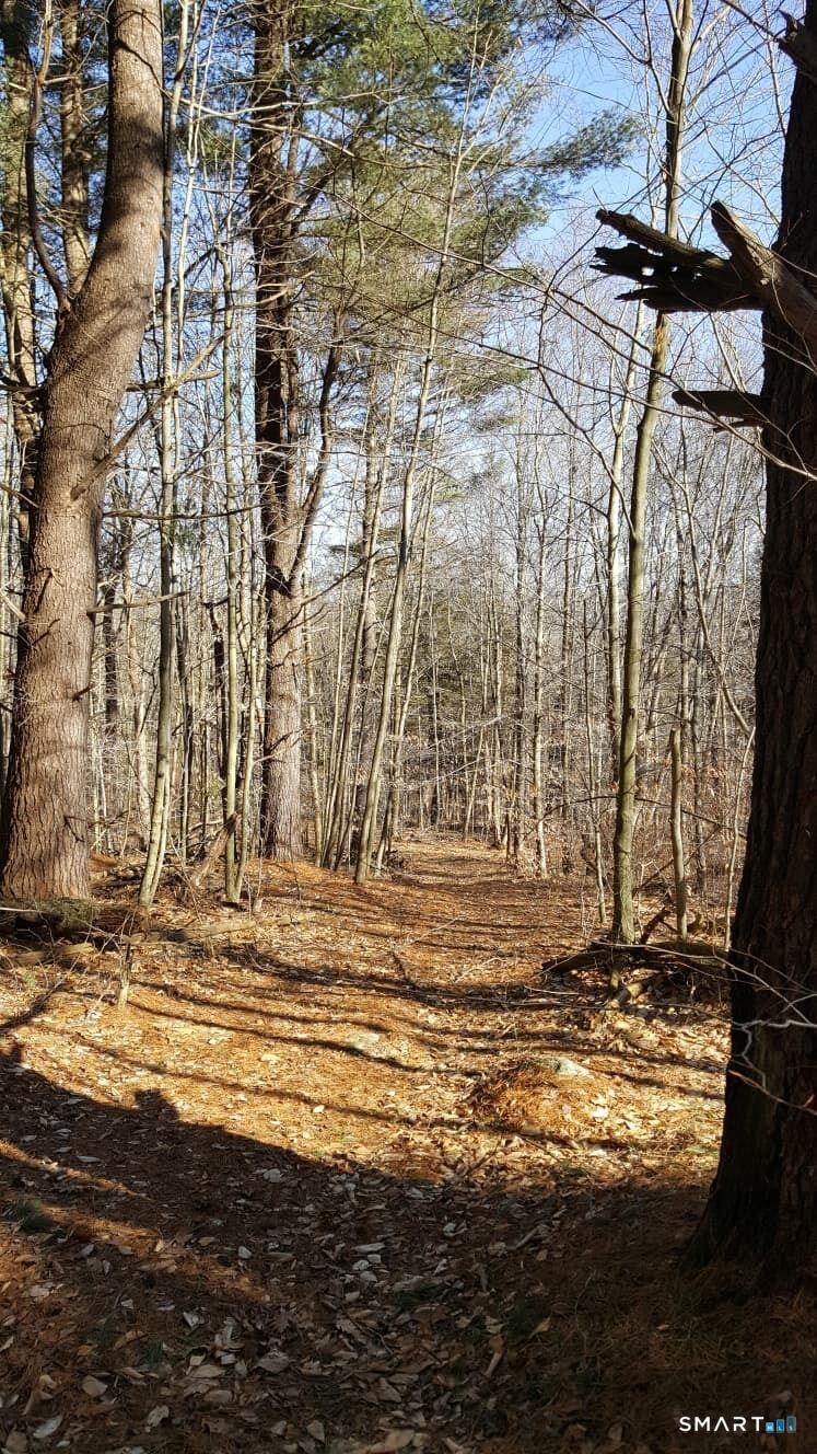 Property Photo:  53 Flag Hill Road  CT 06021 
