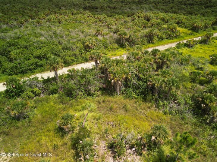 Property Photo: 3362 Slimtwig Avenue SW FL 32908