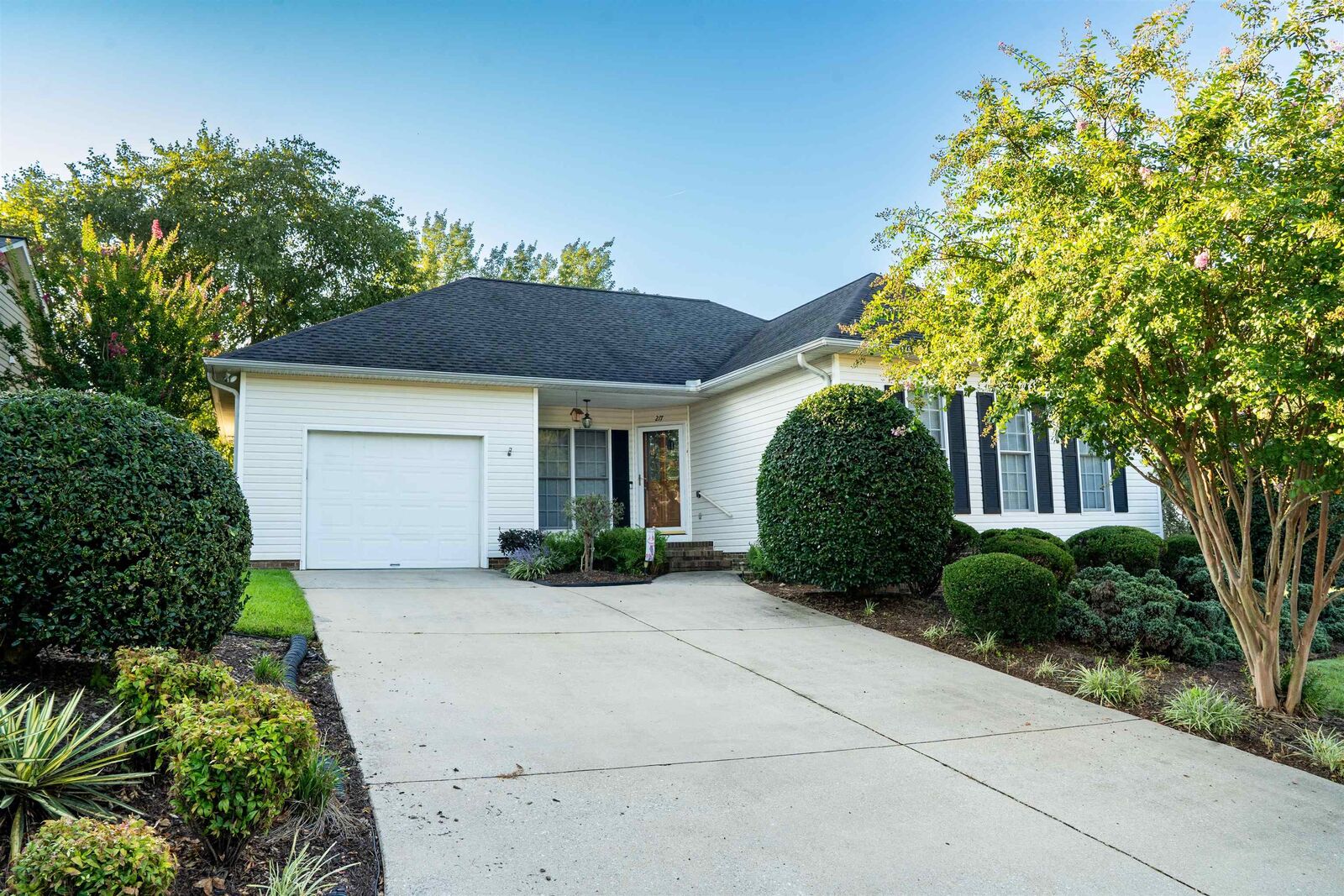 Property Photo: 217 Ashton Drive SC 29369