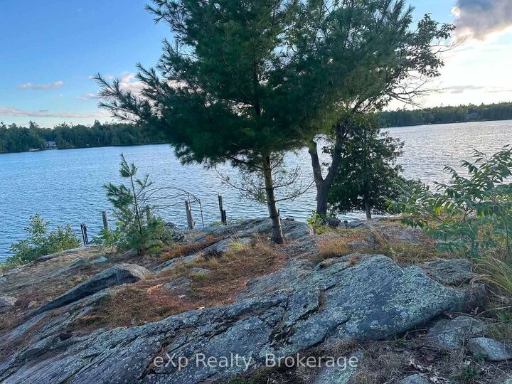 Property Photo:  1336 Morrison Lake Road S Riverside 36  ON P0E 1G0 