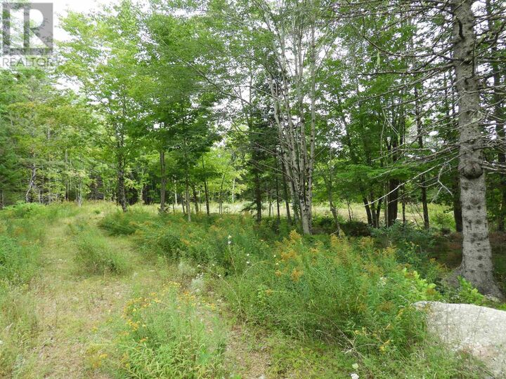 Property Photo:  Lot 2022-1 Meister Road  NS B0J 2M0 