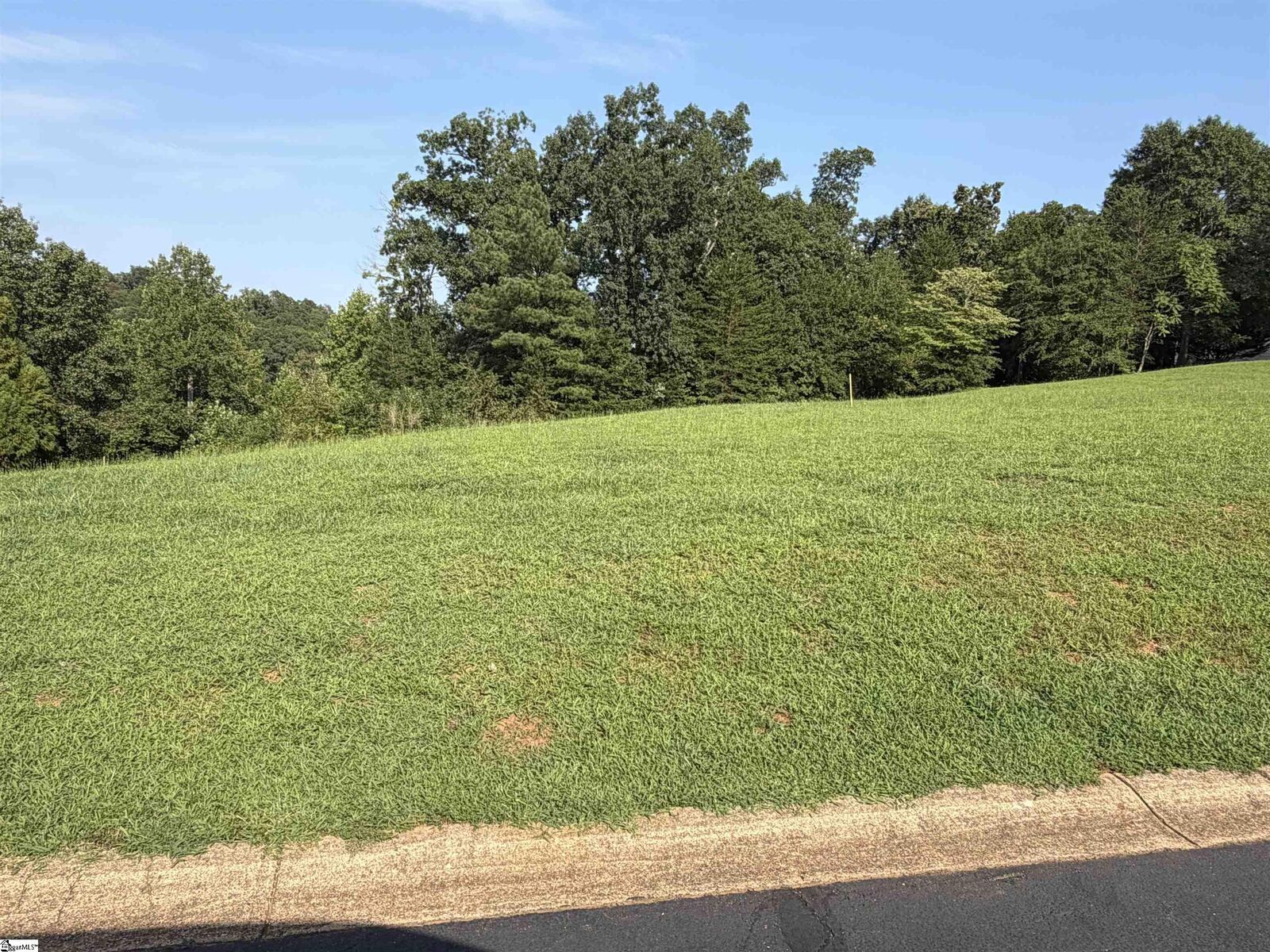 Property Photo: 136 Heartleaf Way SC 29323