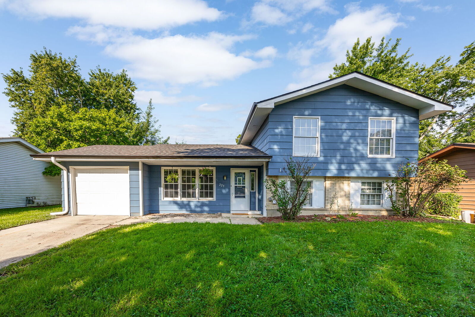Property Photo: 229 N Schmidt Road IL 60440