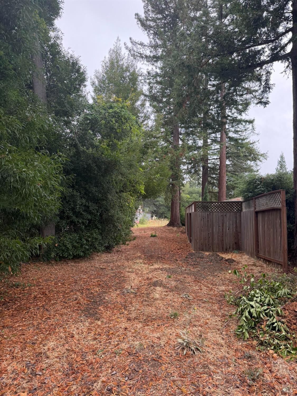 Property Photo:  1741 Pine Street  CA 94559 