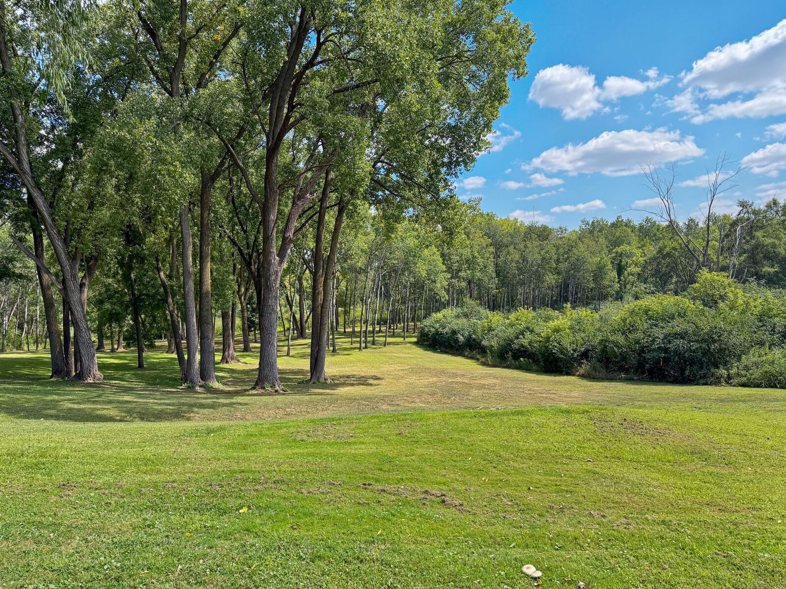 Property Photo: 3032 Labore Road MN 55109