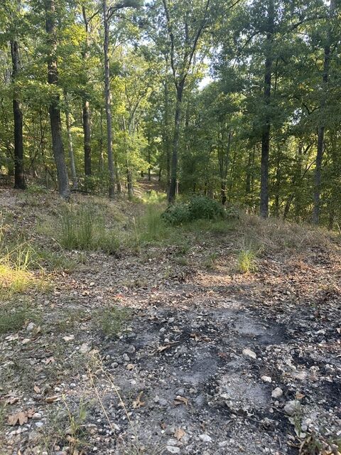 Property Photo:  Tbd Windsong Lane  AR 72631 