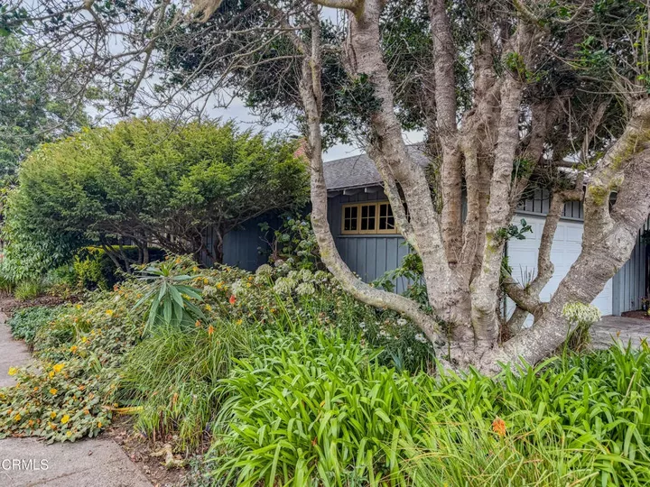 Property Photo:  400 Winifred Street  CA 95437 
