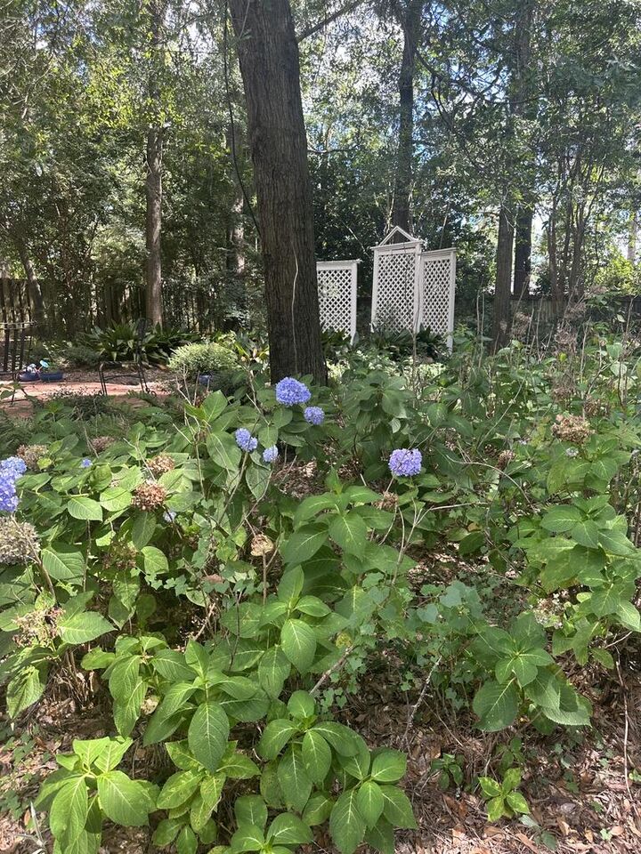 Property Photo:  518 Riveredge Pky  AL 36303 