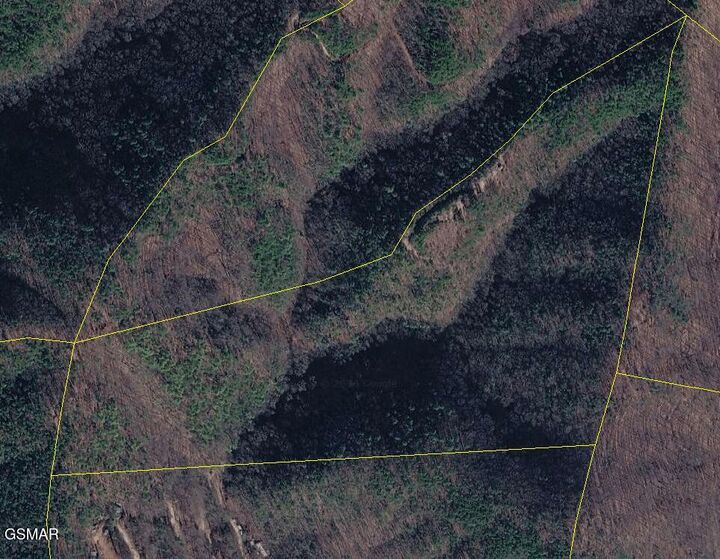 Property Photo:  1080 Hembree Hollow Road  TN 37882 