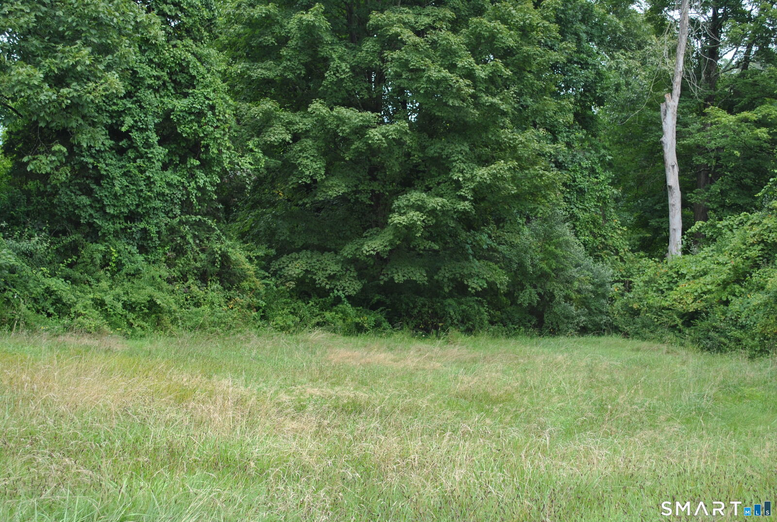 Property Photo: