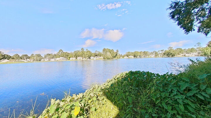 Property Photo: 106 Charity Cove GA 31757