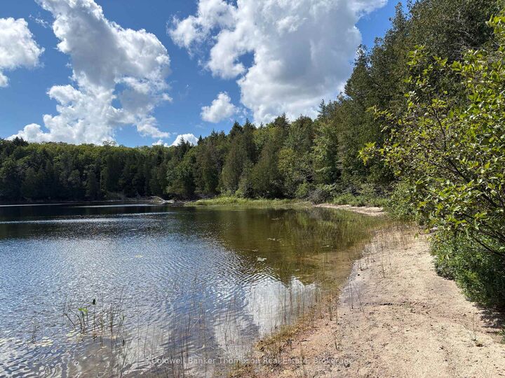 Property Photo:  695B Spring Lake Road  ON P0A 1X0 