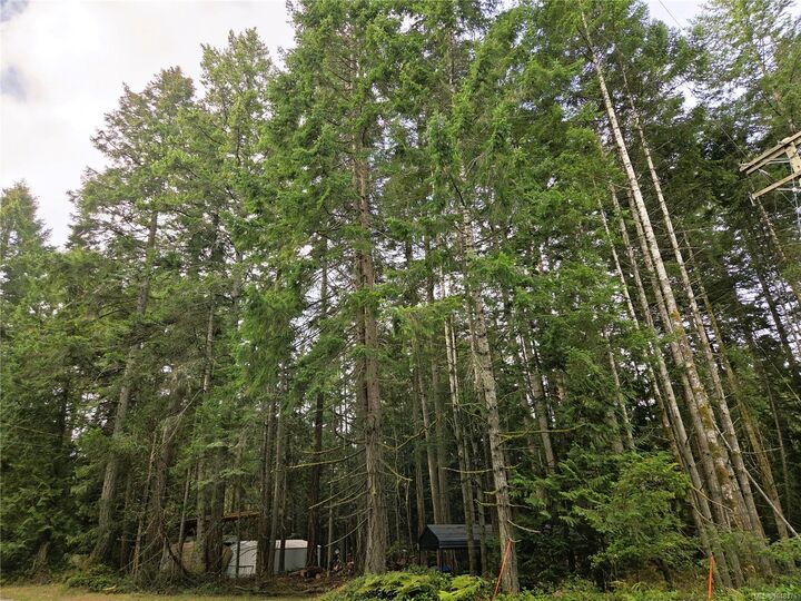Property Photo:  323 Davis Rd  BC V0R 1X1 