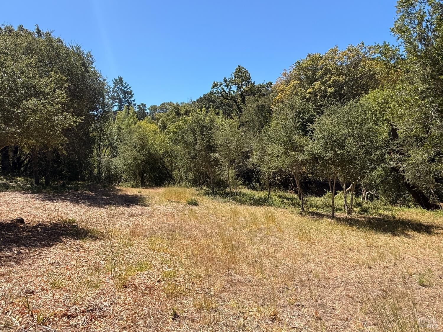 Property Photo:  4569 Sonoma Mountain Road  CA 95404 