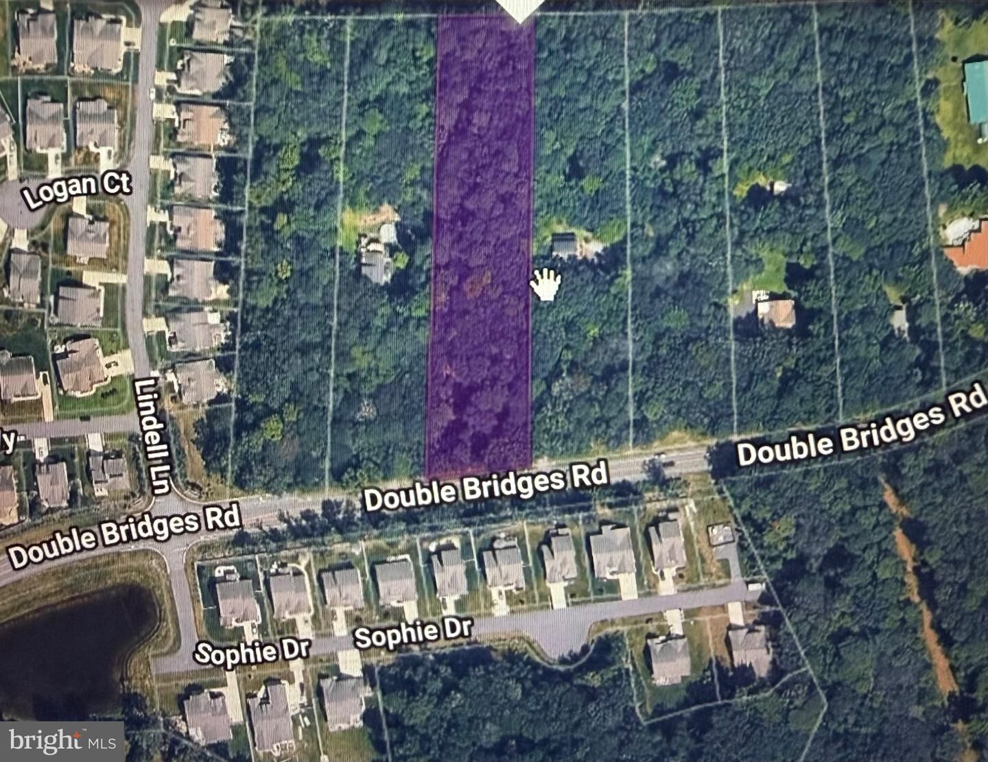 Property Photo:  Lot 3 Double Bridges Road  DE 19945 