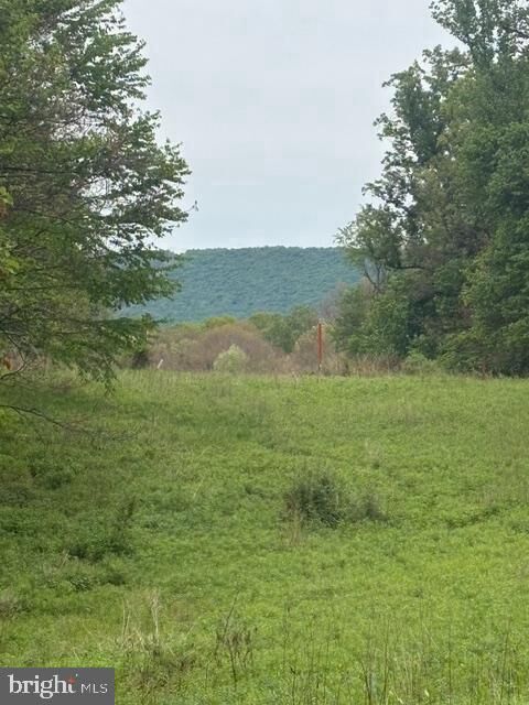 Property Photo:  1311 Red Hill Road  PA 17018 