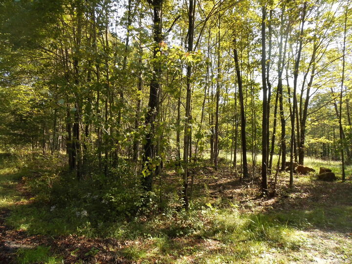 Property Photo: 000 Kerr St PA 15824