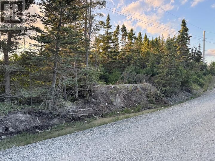 Property Photo:  69 Whalens Pond Road  NL A0B 1G0 