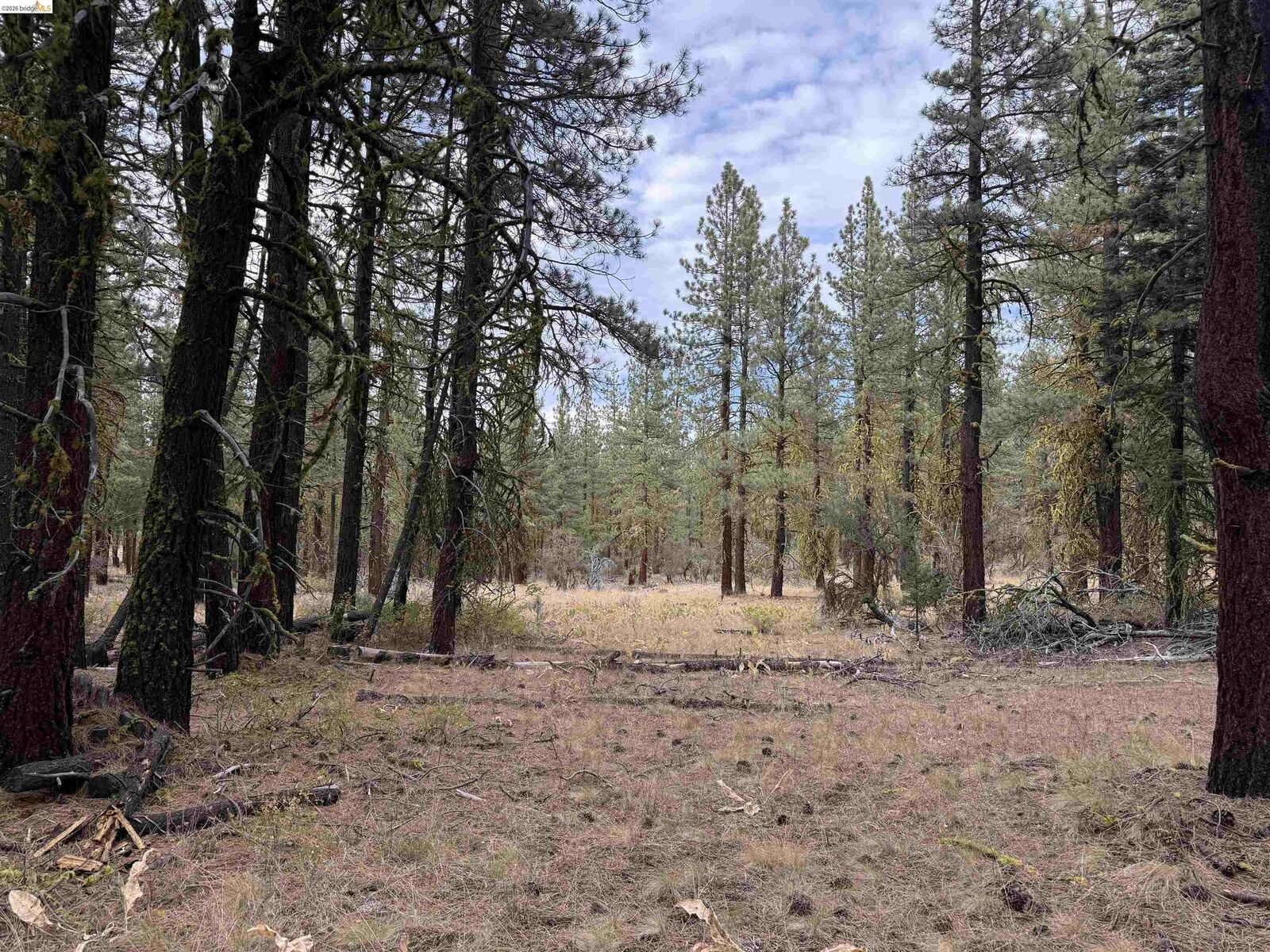 Property Photo: 00000 West Wing CA 96127