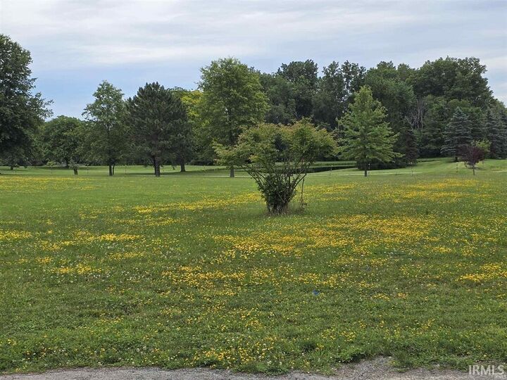 Property Photo:  Tbd Lot #2 Union Chapel Road  IN 46845 