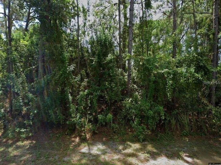 Property Photo:  Gingold Street NW Street  FL 32907 