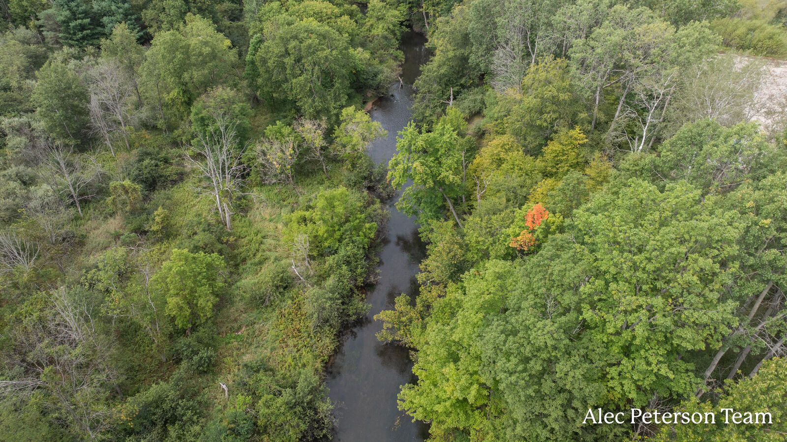 Property Photo:  766 Werth Drive  MI 49677 