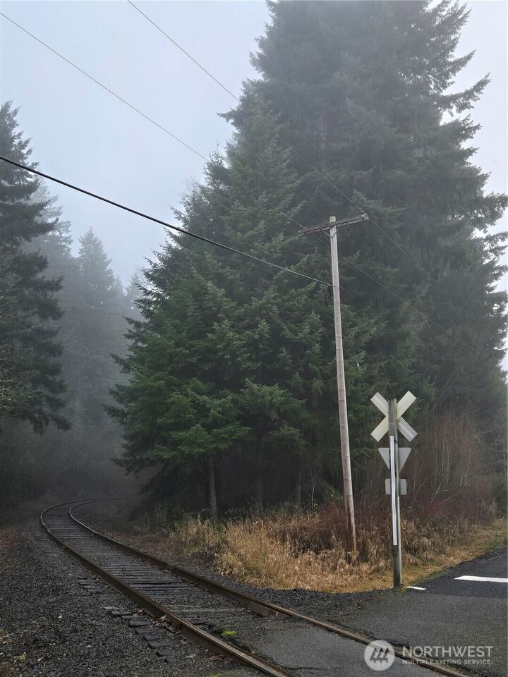 Property Photo: 0 Clinton Road WA 98532