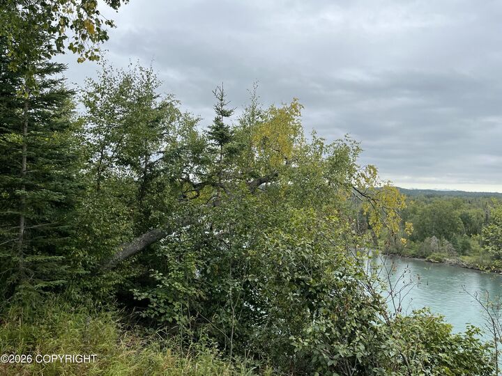 Property Photo: 36616 Virginia Drive AK 99611