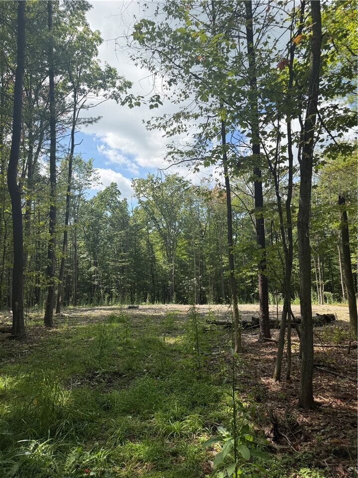 Property Photo: 000/Lot 6 Prospect Ridge NY 14814