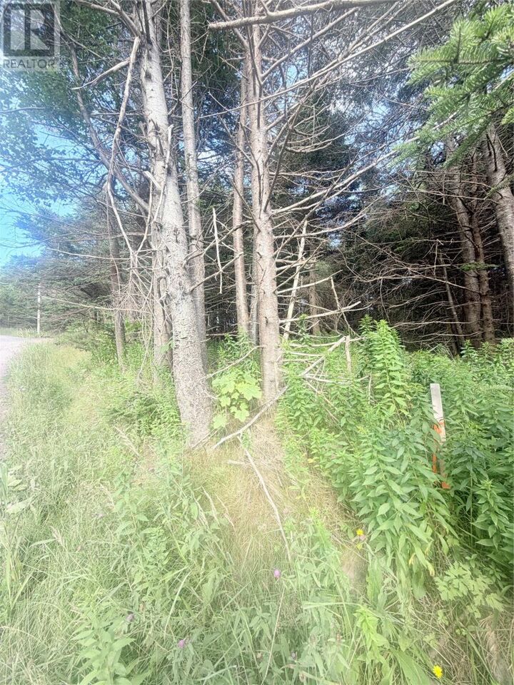 Property Photo:  6A Big Pond Access Road  NL A0E 1E0 