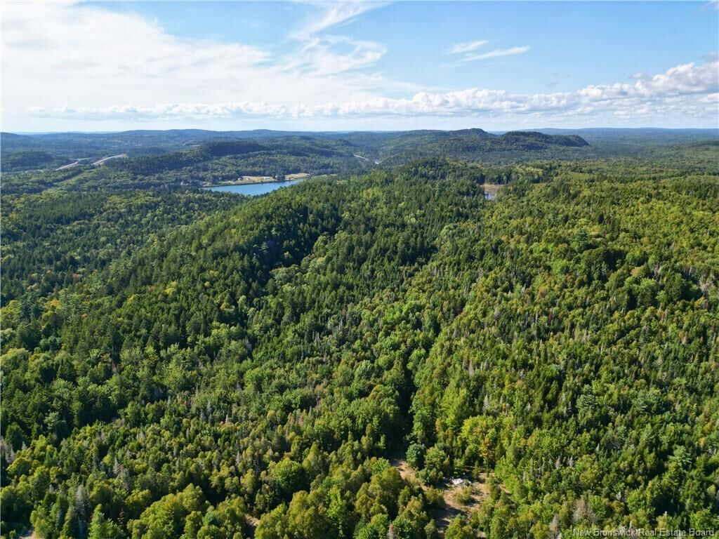 Property Photo:  Land Highway 1  NB E5C 2T7 