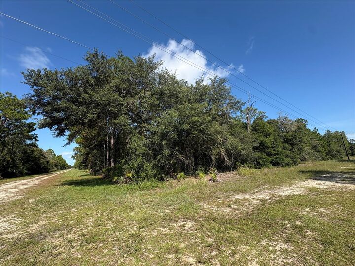 Property Photo: 0 Alba FL 33855