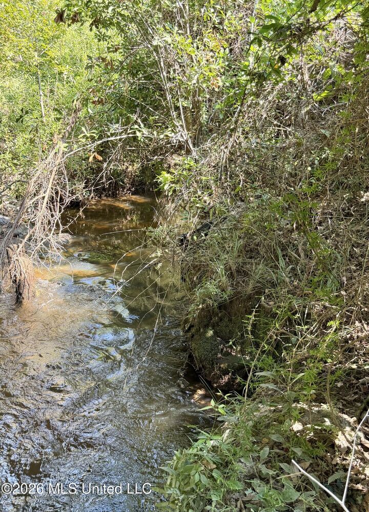Property Photo:  3.7 Acres Beesley Road  MS 39452 