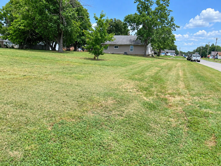 Property Photo: 603 Union Avenue IL 62927