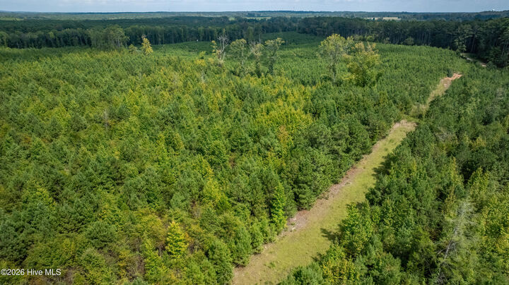 Property Photo: Lot 1 Union Church Road GA 30824