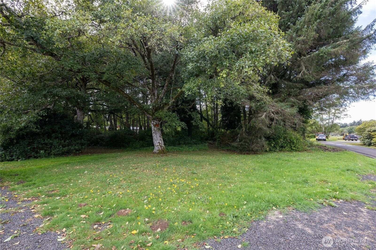 Property Photo: 1901 Cranberry Road WA 98547
