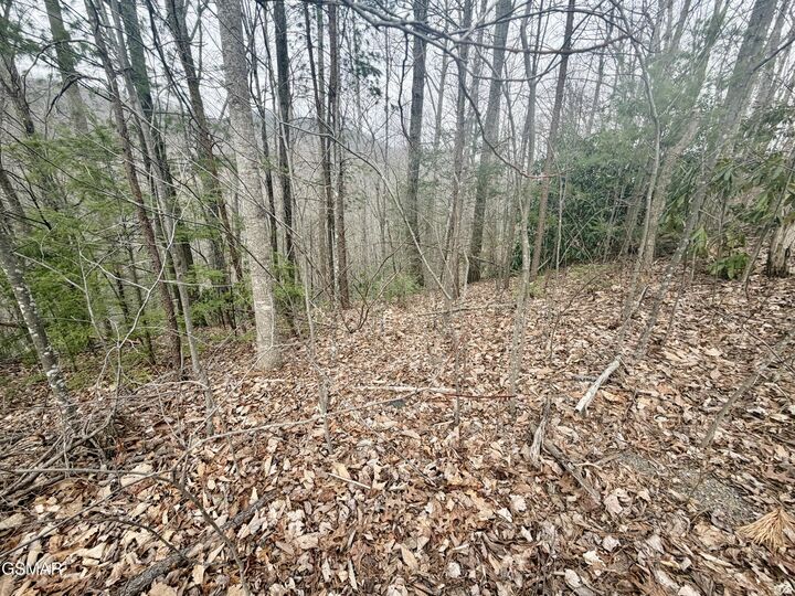 Property Photo: Lot 6 Thissa Way TN 37738