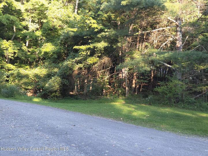 Property Photo:  Tbd Blackberry Hill Rd.  NY 12567 