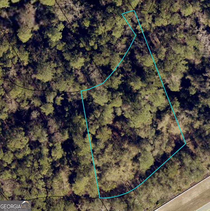 Property Photo: 110 Canoe Run GA 31569