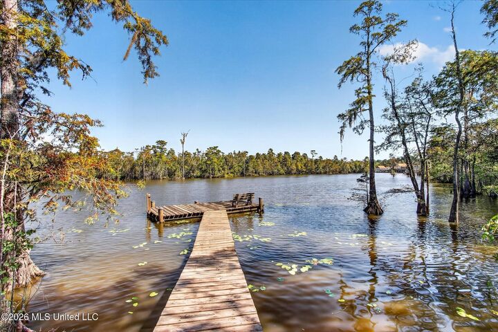 Property Photo:  3021 Donniebrook Lane  MS 39562 