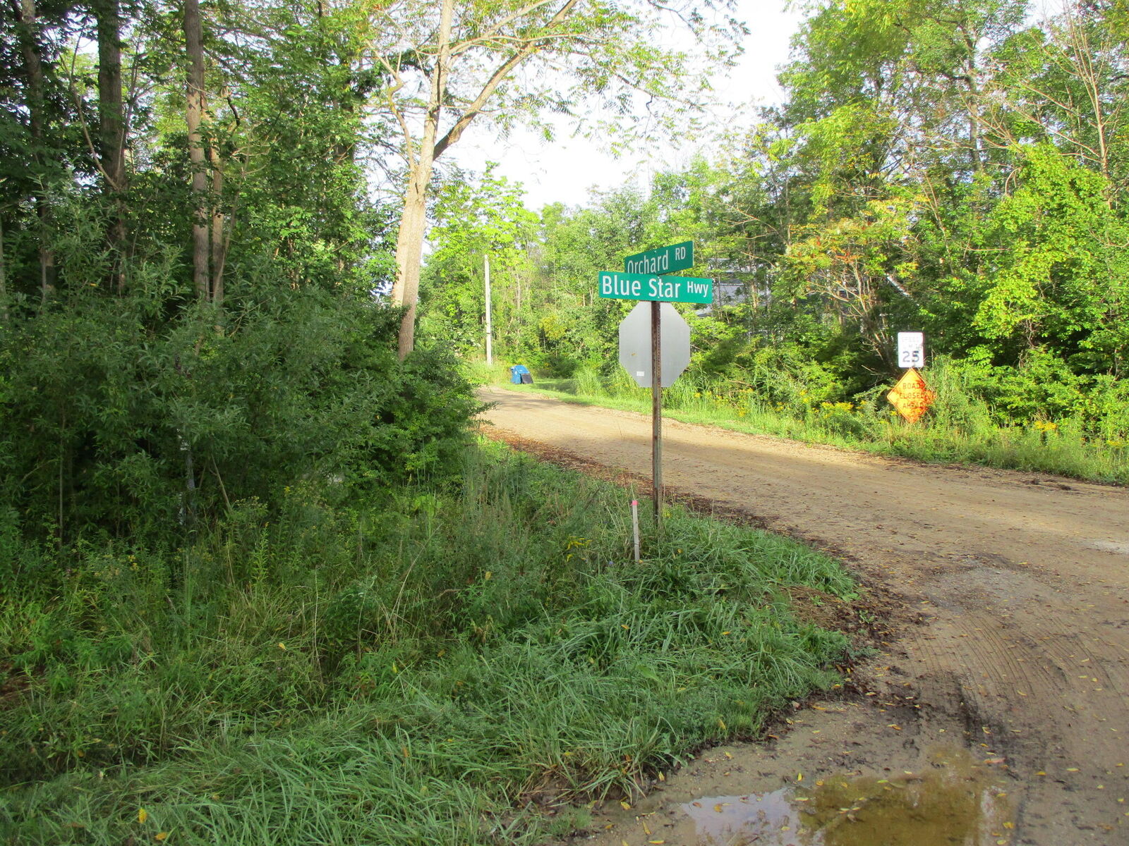 Property Photo: Orchard Road MI 49090